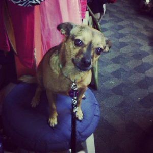 Meet your Posher, April